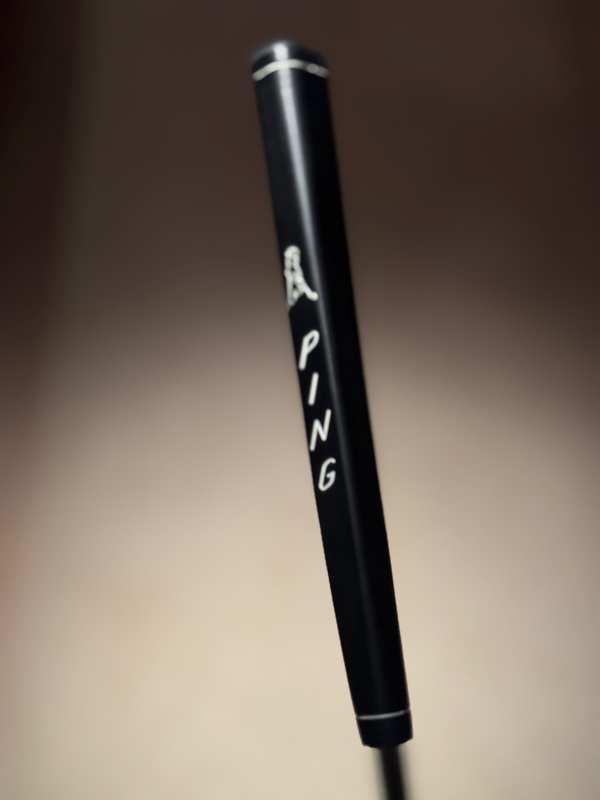 ping pld ds72 thumbnail 7