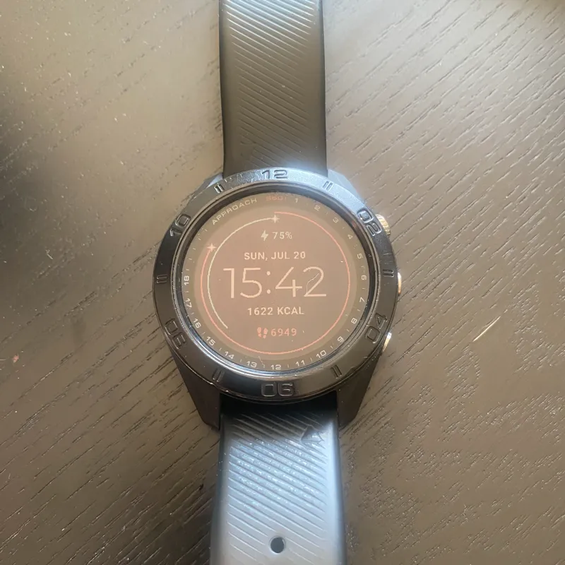 Garmin Approach S60