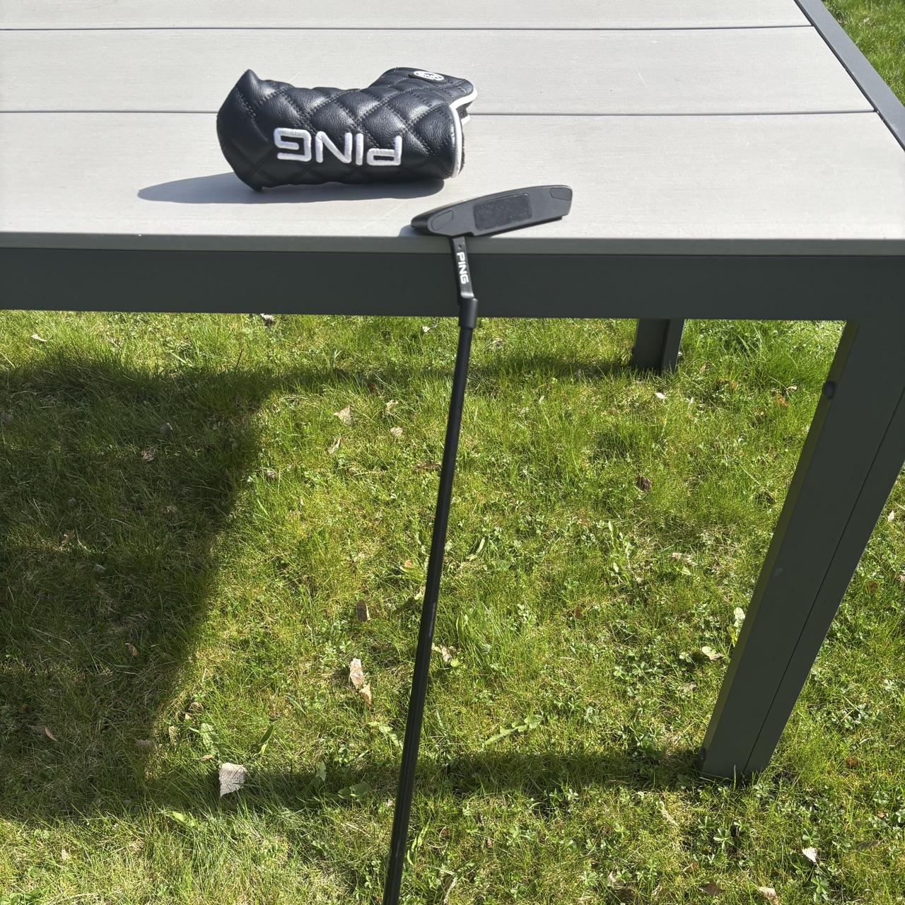 Ping Anser 2D 34